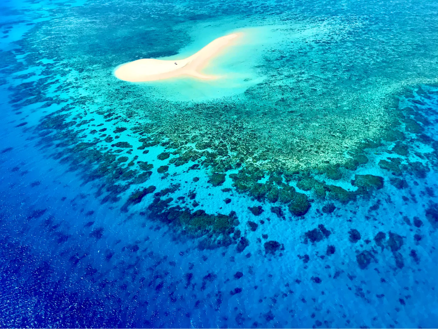 澳礁新宠·海陆空玩转大洋洲